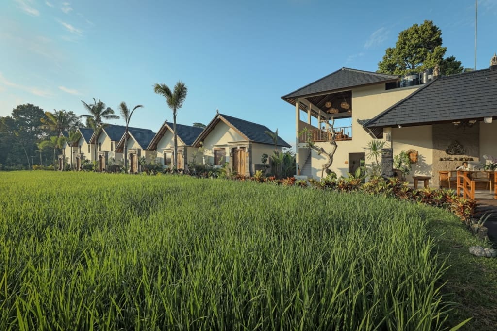 Rejser til Bali - Rejser til Ubud - Ascarya Villa Ubud