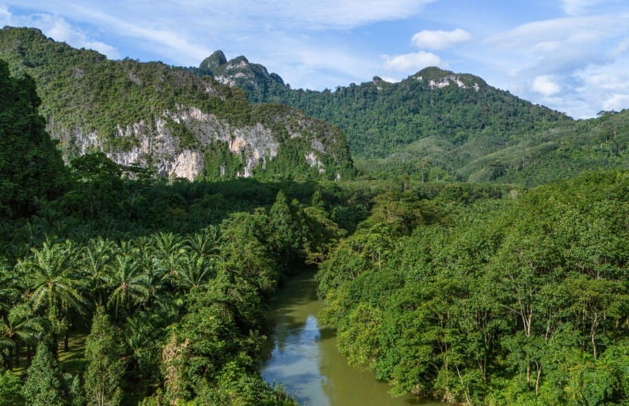 Udsigt til naturen Rejser til Thailand, Rejser til Khao sok
