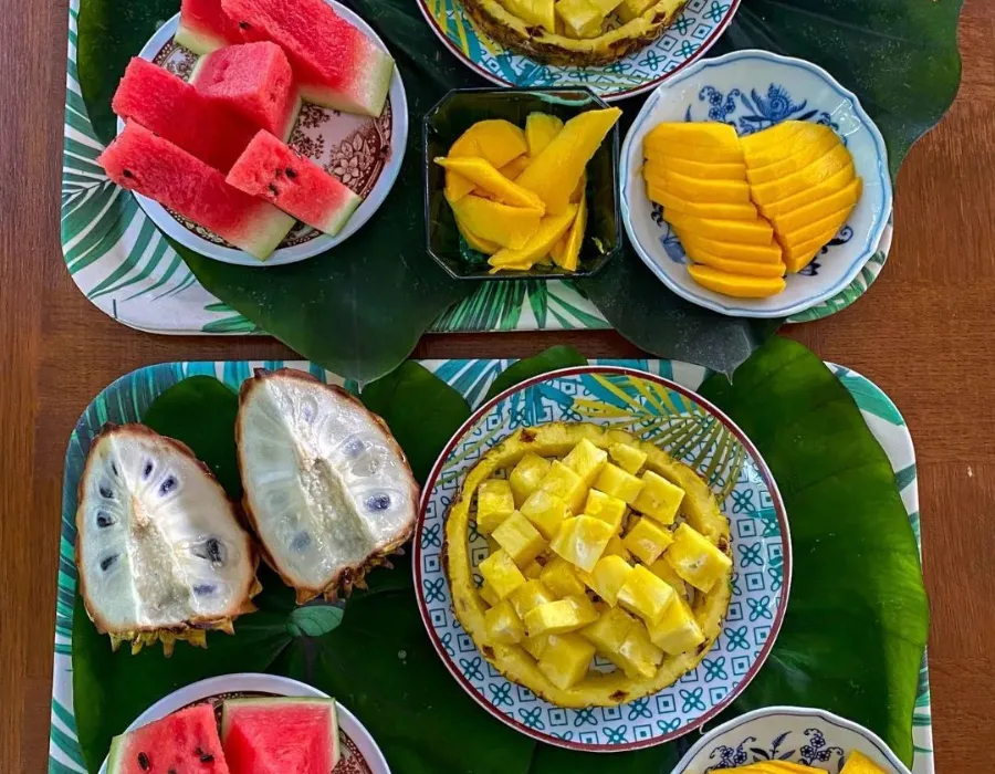 Rejser til Costa Rica - Rejser til Puerto Viejo - Glamping rejser