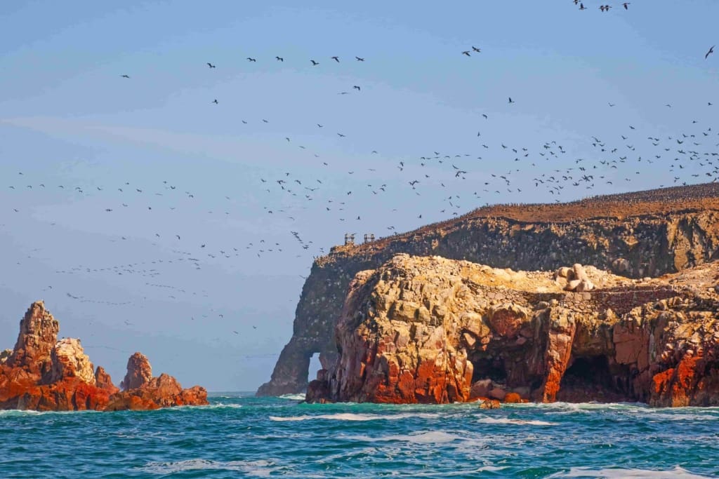 Rejser til Peru - Rejser til Ballestas (Paracas)