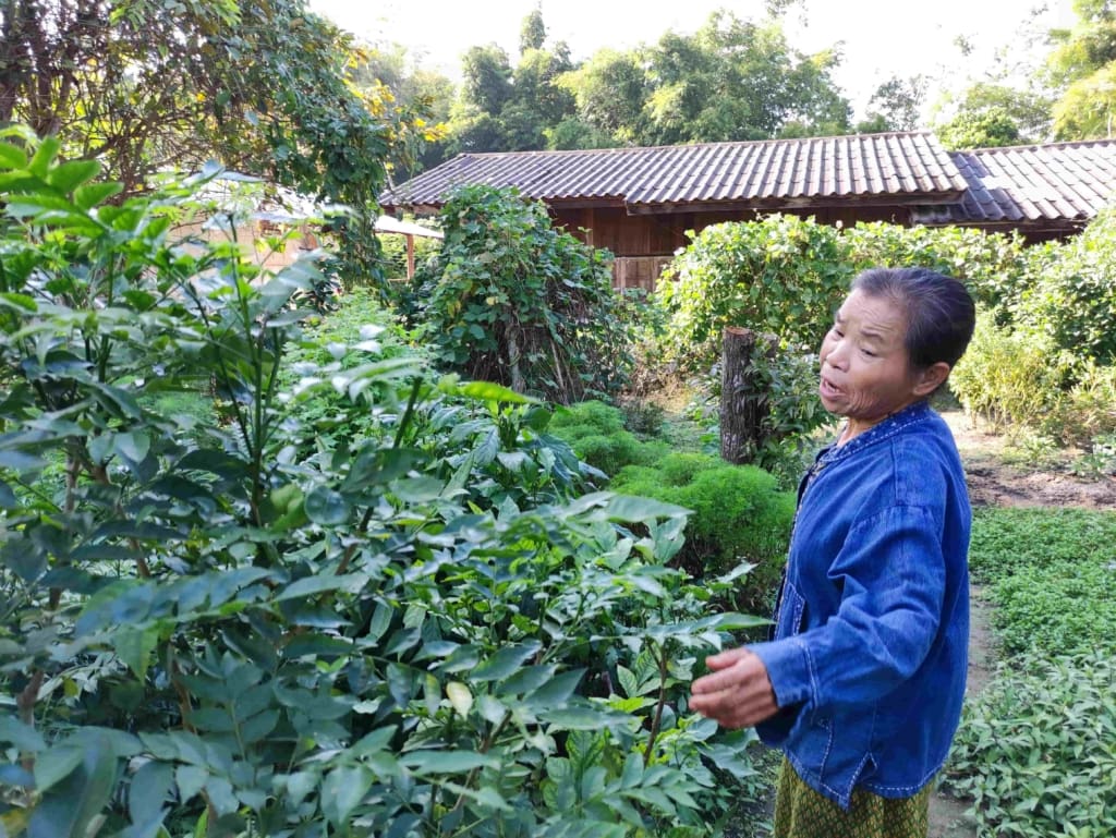 Rejser til Thailand - Rejser til Chiang Mai - Kreative traditioner i Chiang Mais landsbyer