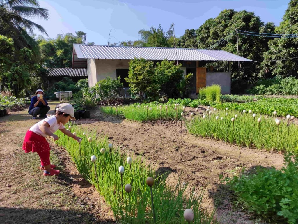 Rejser til Thailand - Rejser til Chiang Mai - Kreative traditioner i Chiang Mais landsbyer