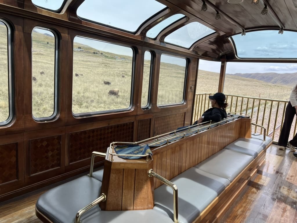 Togtur gennem Andesbjergene Rejser til Peru - Togtur mellem Cusco og Puno