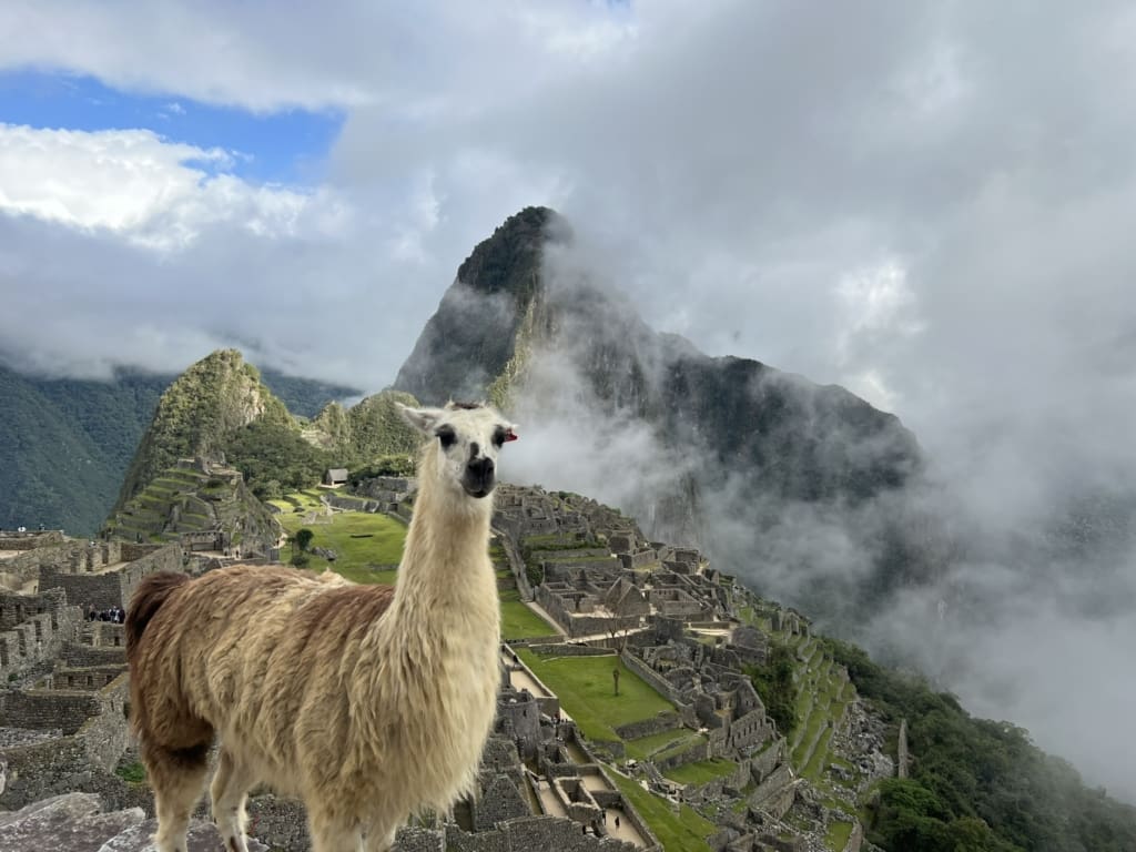 Machu Picchu Rejser til Peru - Rejser til Machu Picchu