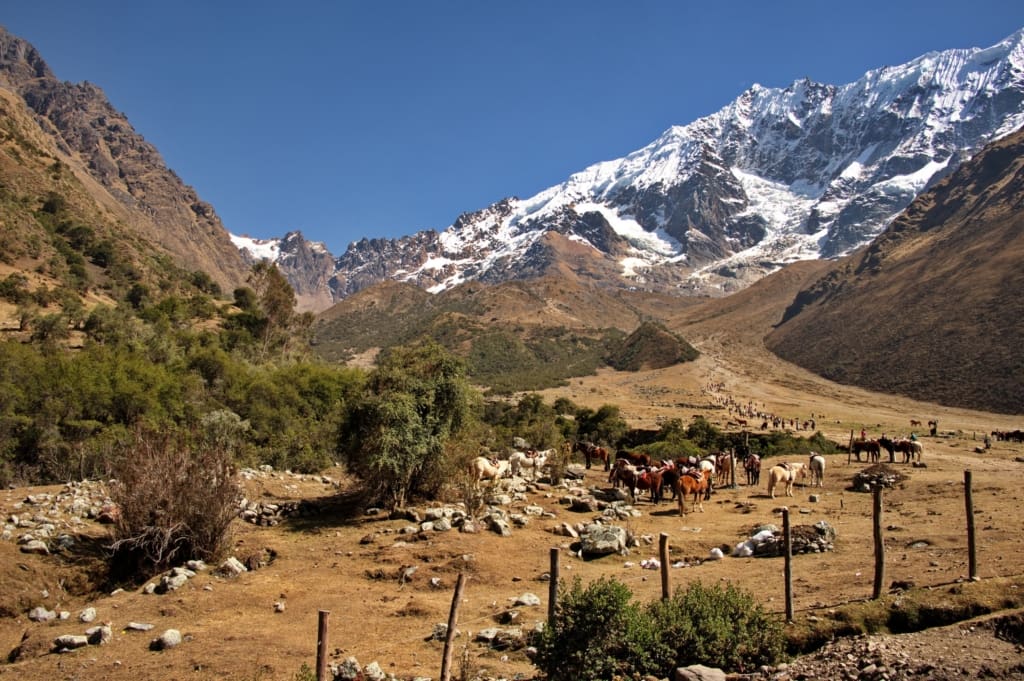 Salkantay trek Rejser til Peru - Rejser til Salkantay trail