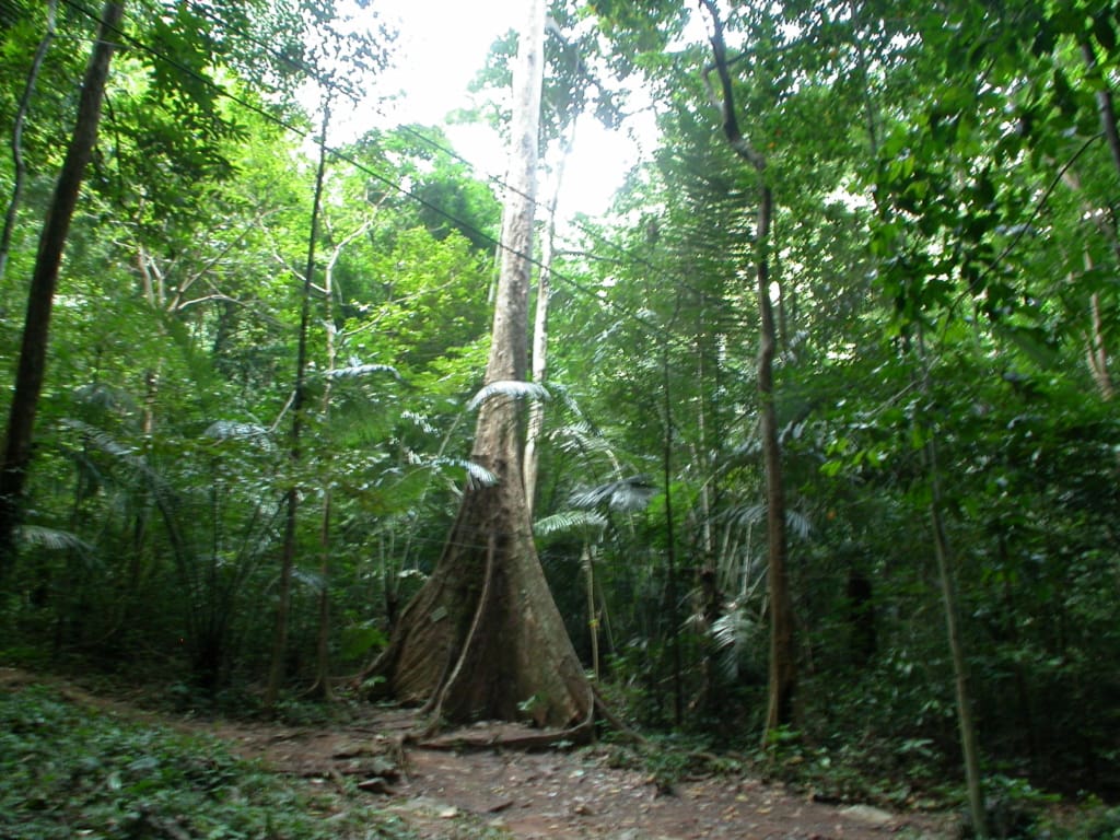 Rejser til Thailand - Rejser til Krabi - Oplevelser i Thailand