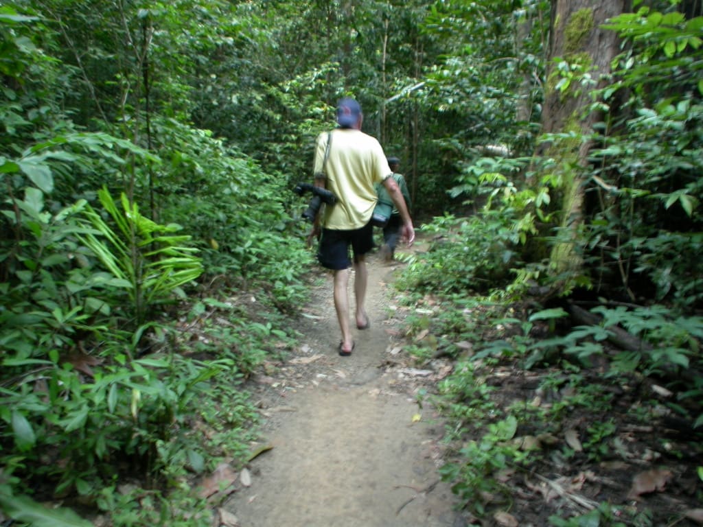 Rejser til Thailand - Rejser til Krabi - Oplevelser i Thailand