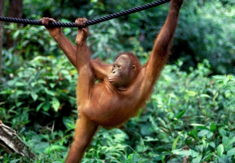 Hvor skal jeg rejse hen hvornår? Hvor skal jeg rejse hen til forår? Hvor skal jeg rejse hen til maj?