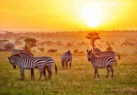 Hvor skal jeg rejse hen hvornår? Hvor skal jeg rejse hen til forår? Hvor skal jeg rejse hen til februar?