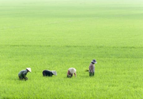 Hvor skal jeg rejse hen hvornår? Hvor skal jeg rejse hen til efterår? Hvor skal jeg rejse hen til november?