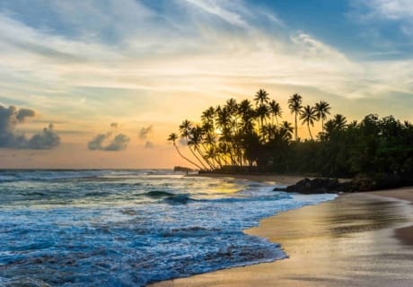 Hvor skal jeg rejse hen hvornår? Hvor skal jeg rejse hen til vinter? Hvor skal jeg rejse hen til januar?