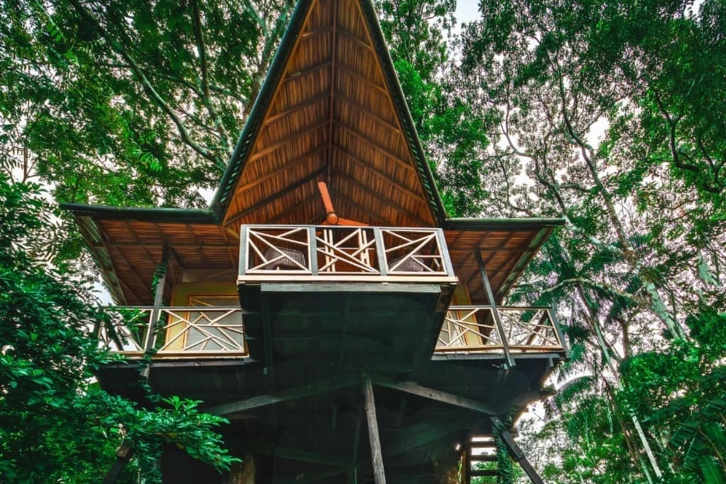 Rejser til Colombia - Rejser til Leticia - Burú Nature Hotel