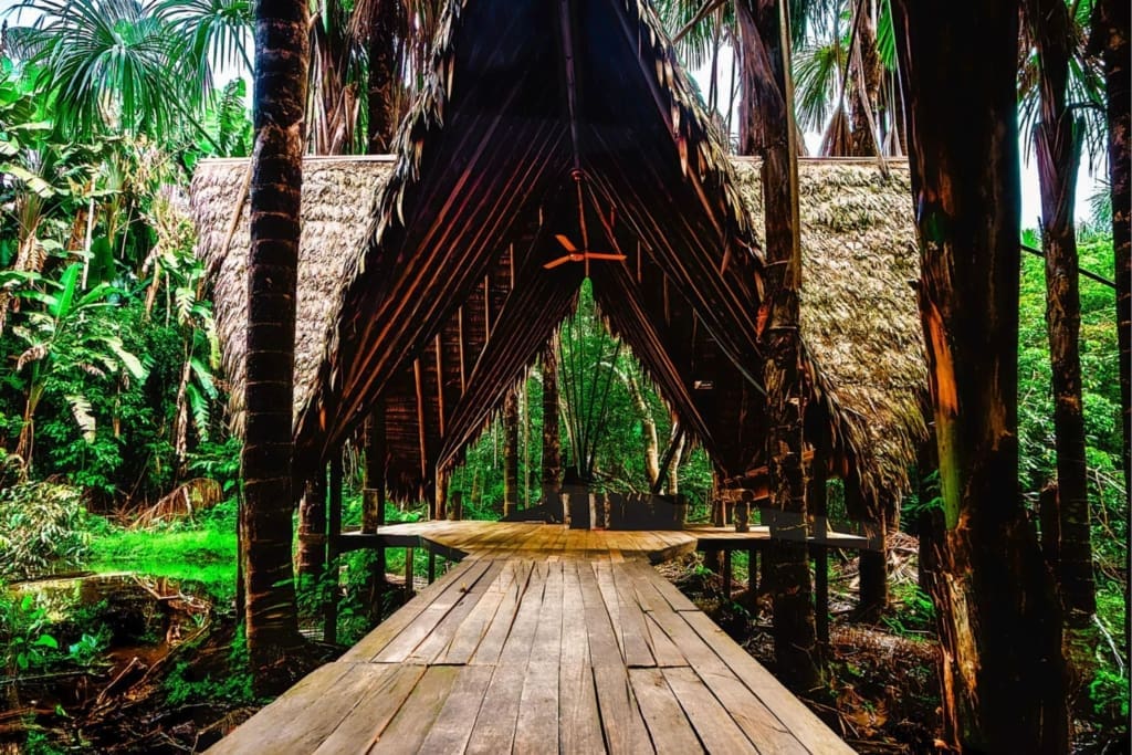 Rejser til Colombia - Rejser til Leticia - Burú Nature Hotel