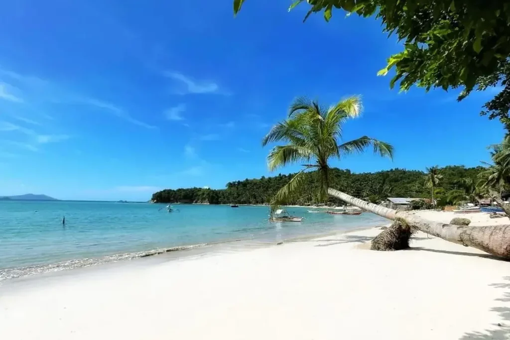 Rejser til Filippinerne - BAIA Beachfront Boutique Lodge - Palawan