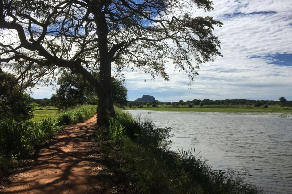 Cykeltur i Sigiriya Cykeltur i Sigiriya