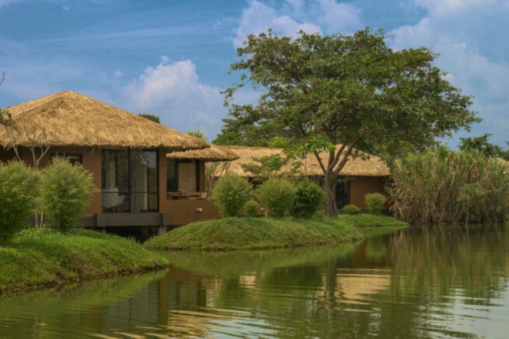 Naturen omkring værelserne Rejser til Sri Lanka - Rejser til Sigiriya - Water Garden
