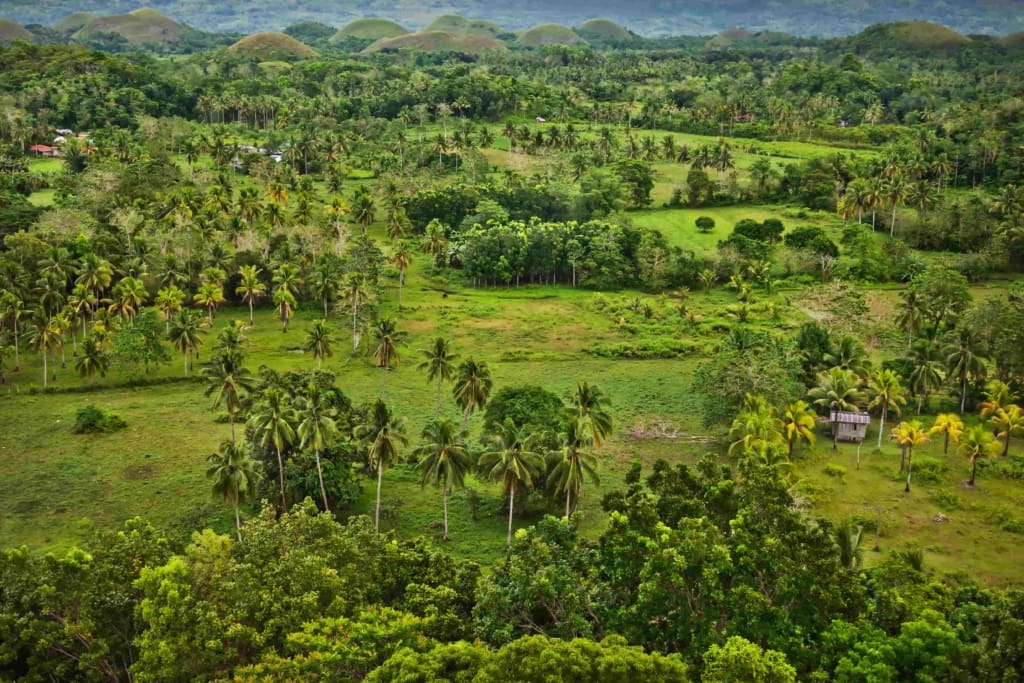 Chocolate Hills Rejser til Filippinerne - Lobac - Chocolate Hills Tour