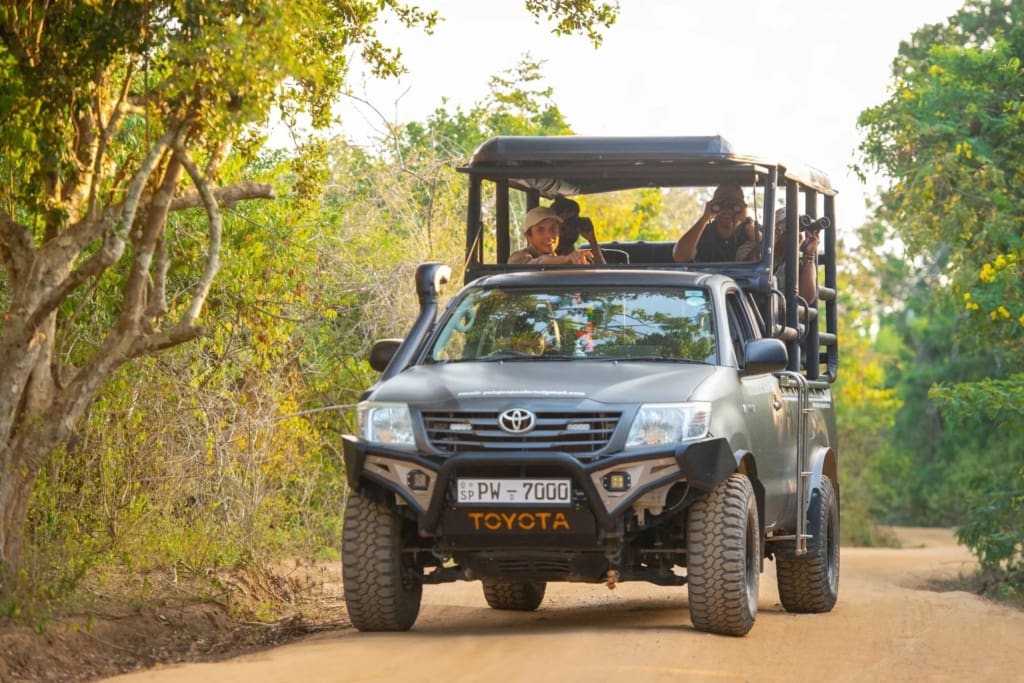 Rejser til Sri Lanka - Rejser til Yala - Wild Coast Tented Lodge