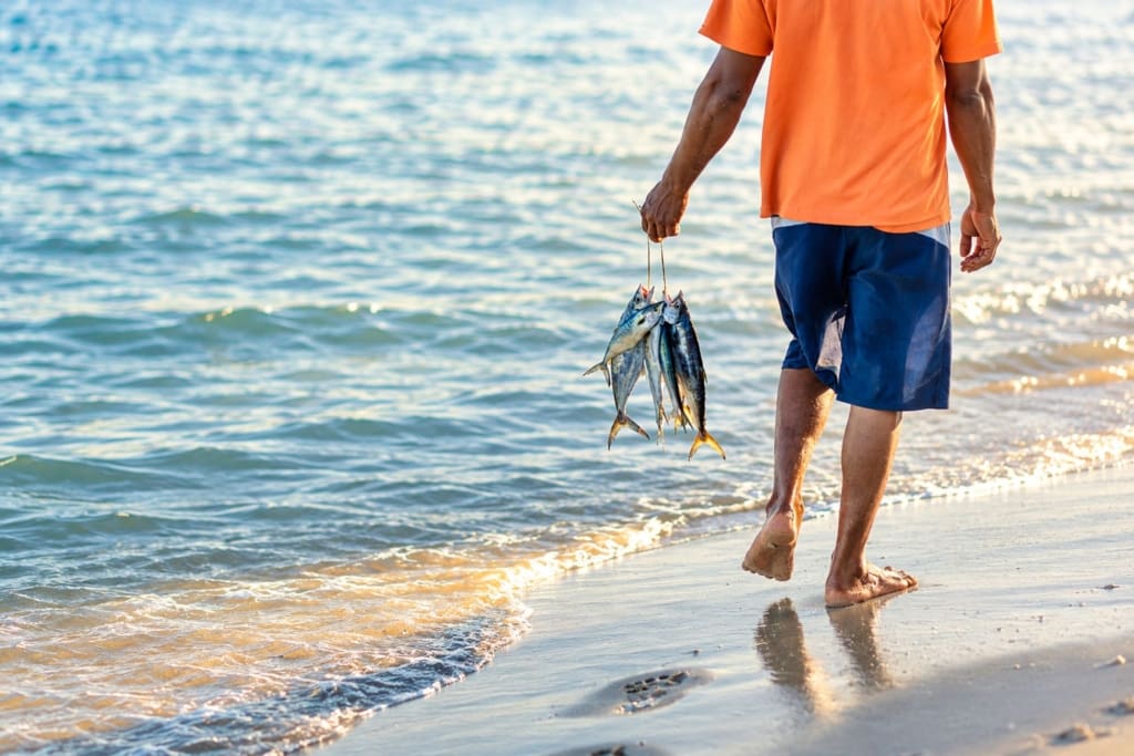 Fisketur Rejser til Filippinerne - fisketur - Zen Island