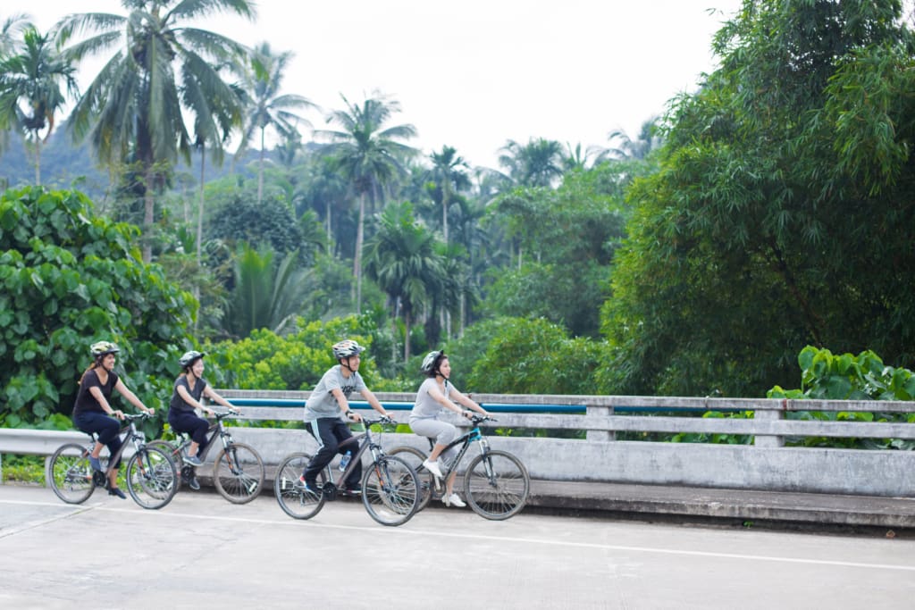 Rejser til Thailand - Rejser til Khao Sok - Cykeltur i grønne omgivelser