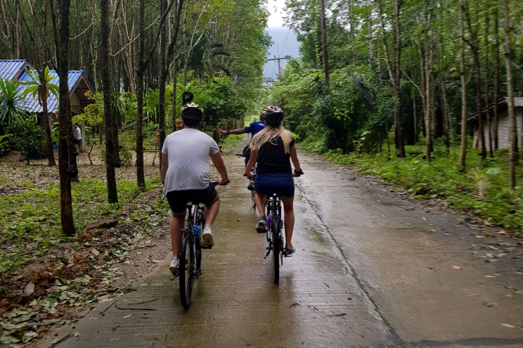 Rejser til Thailand - Rejser til Khao Sok - Cykeltur i grønne omgivelser
