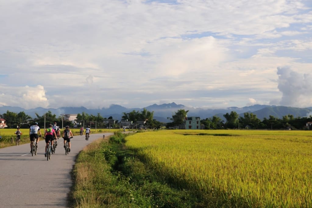 Cykeltur rundt i Ninh Binh Rejser til Vietnam - Oplevelser i Ninh Binh - Cykel-, tempel- og bådtur rundt i Ninh Binh